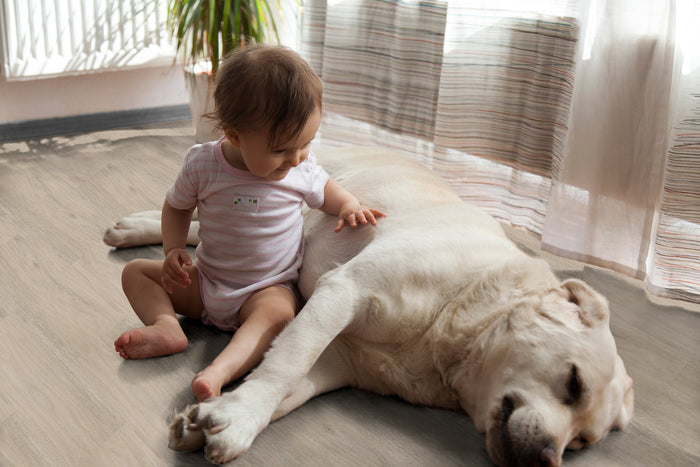 peel and stick floor tile for living room